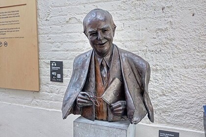 Dublin Private Walking Tour av Dublin by