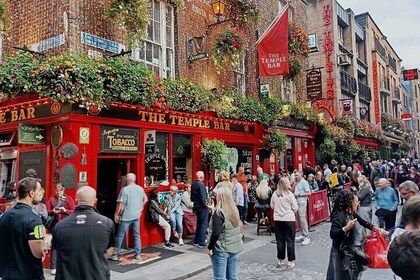 Dublin Private Walking Tour of Dublin City