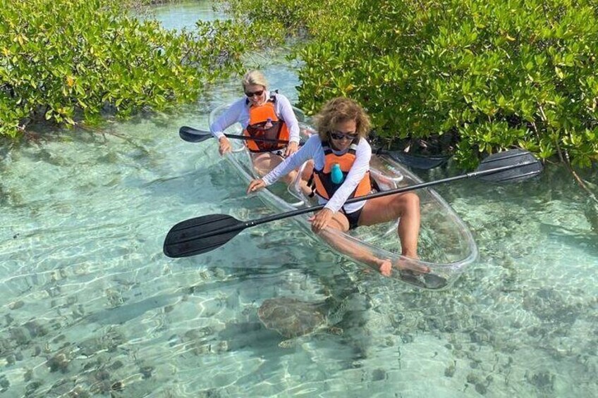 Clear Kayak Tour in Turks & Caicos Islands