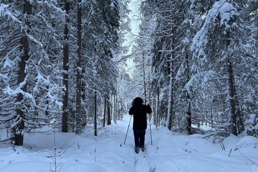Enjoying freshly fallen snow as we make our way through the forest