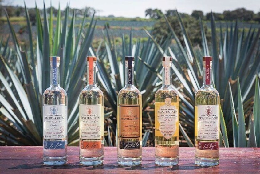 Private Tour to Distillery Tequila Ocho and Arandas 