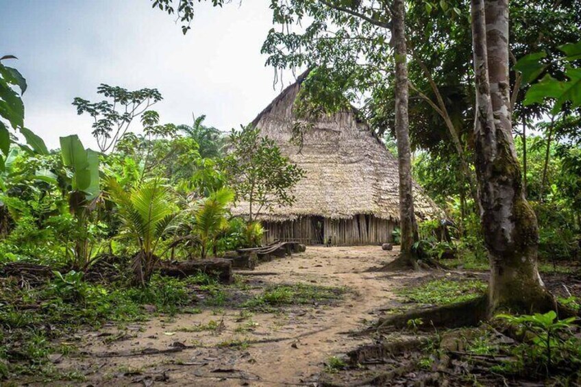 Full jungle experience tour