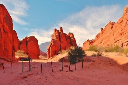 From Salta: Full-Day Tour to Cafayate, Land of Wines