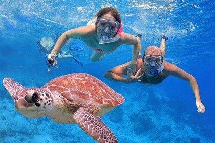 San Juan Guided Snorkeling Experience - With Transport 8am-3pm