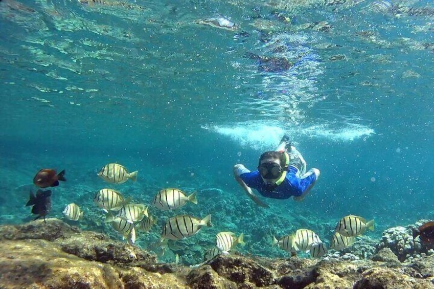 San Juan Snorkeling and Turtle Spotting