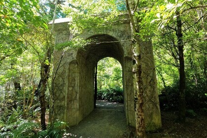 Wellington's Full Day Lord of the Rings Tour including Lunch