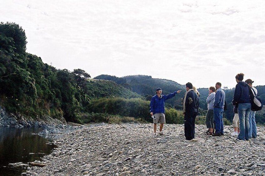 Lord of the Rings tour from Wellington