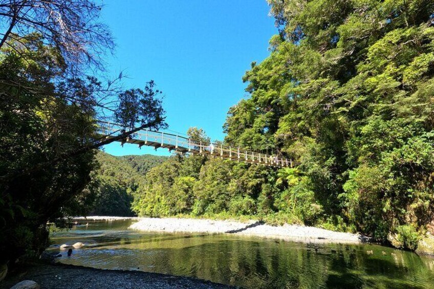 Visit ancient Rainforest and learn about the flora and fauna 