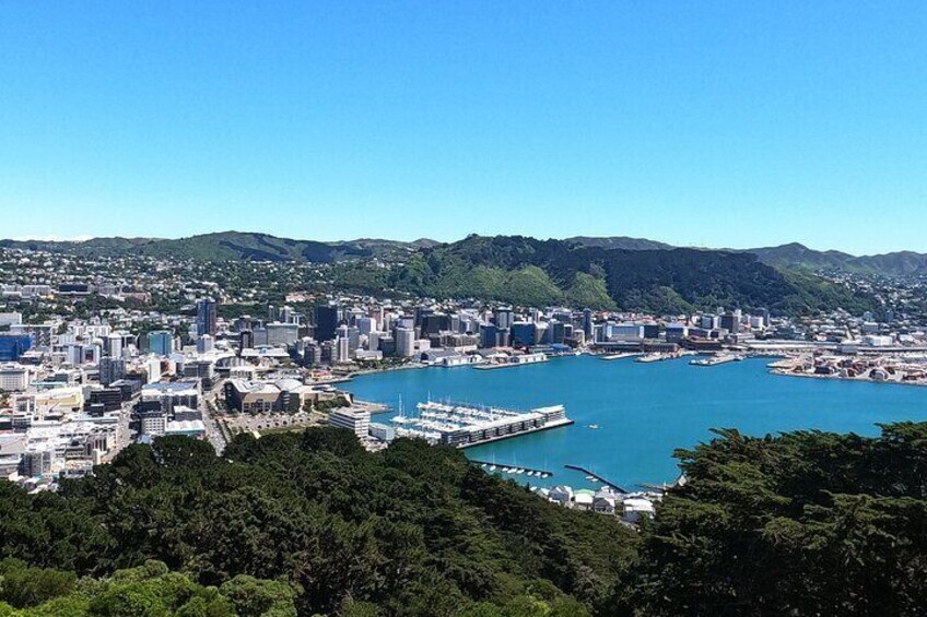 Wellington's Full Day Lord of the Rings Tour including Lunch