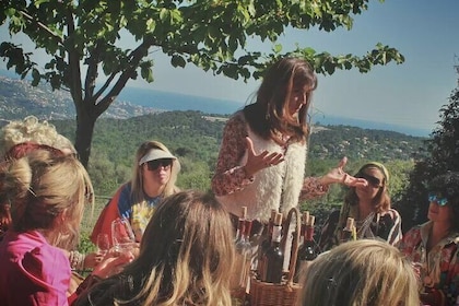Wine Tasting, Domaine de Claus Tourrettes sur loup