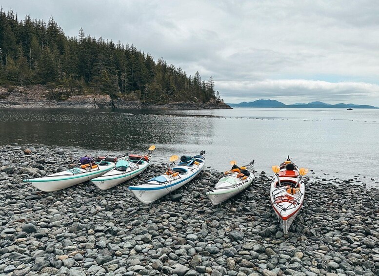 Picture 8 for Activity Telegraph Cove: Day Trip Kayaking Tour