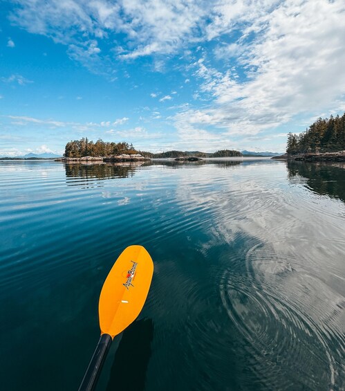 Picture 6 for Activity Telegraph Cove: Day Trip Kayaking Tour