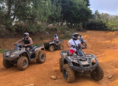 Tur Petualangan Off-Road Medellin dengan Sepeda Quad