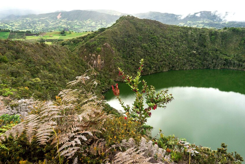 From Bogota: Green Guatavita Lake and Reserve Private Tour