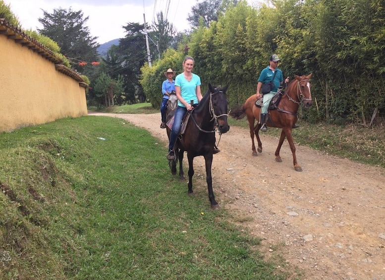 Picture 4 for Activity Bogota: Horseback Wilderness Ride