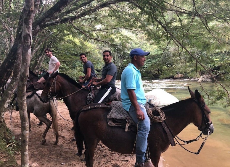 Picture 2 for Activity Bogota: Horseback Wilderness Ride