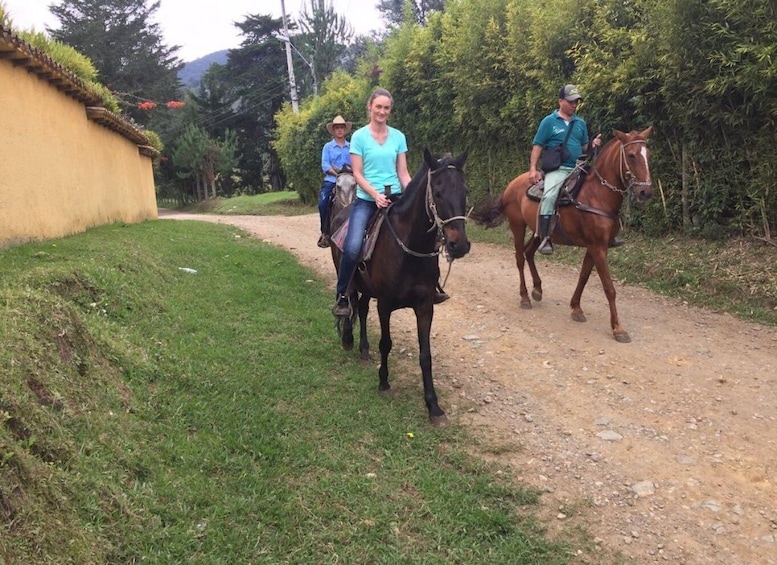Picture 4 for Activity Bogota: Horseback Wilderness Ride