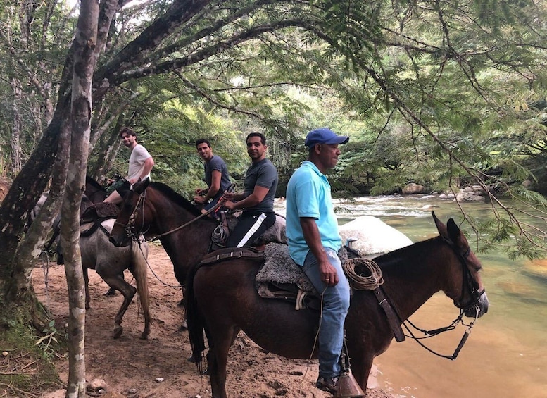 Picture 2 for Activity Bogota: Horseback Wilderness Ride