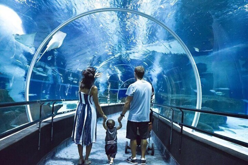 AquaRio - Marine Aquarium of Rio de Janeiro (largest Marine Aquarium in Latin America).