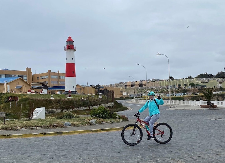 Picture 5 for Activity Viña del Mar: Coastal Bike Tour