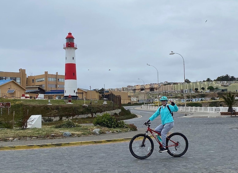 Picture 5 for Activity Viña del Mar: Coastal Bike Tour