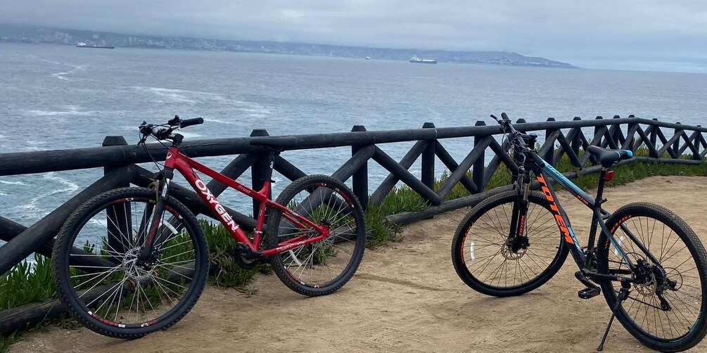 Picture 3 for Activity Viña del Mar: Coastal Bike Tour