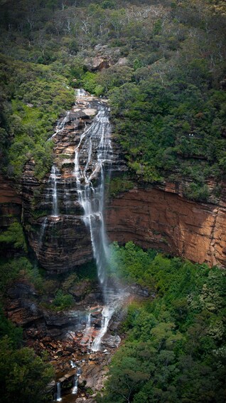 Picture 8 for Activity From Sydney: Blue Mountains, Sydney Zoo & Scenic World Tour