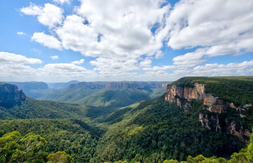 Picture 4 for Activity From Sydney: Blue Mountains, Sydney Zoo & Scenic World Tour