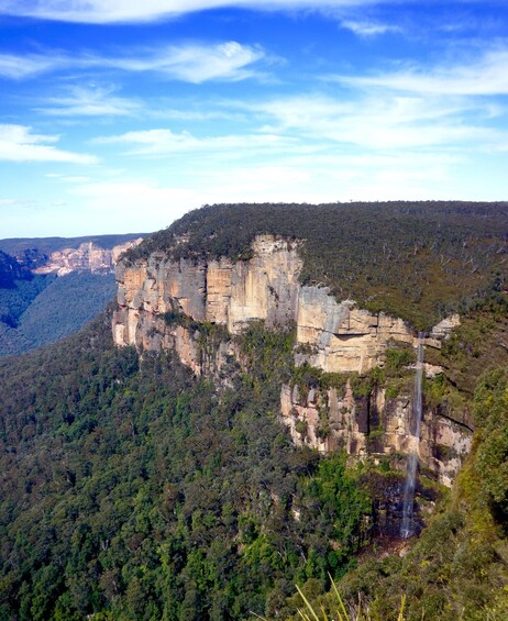 Picture 9 for Activity From Sydney: Blue Mountains, Sydney Zoo & Scenic World Tour