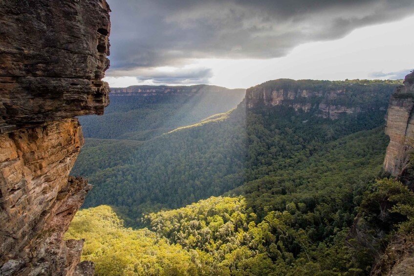 Picture 7 for Activity From Sydney: Blue Mountains, Sydney Zoo & Scenic World Tour