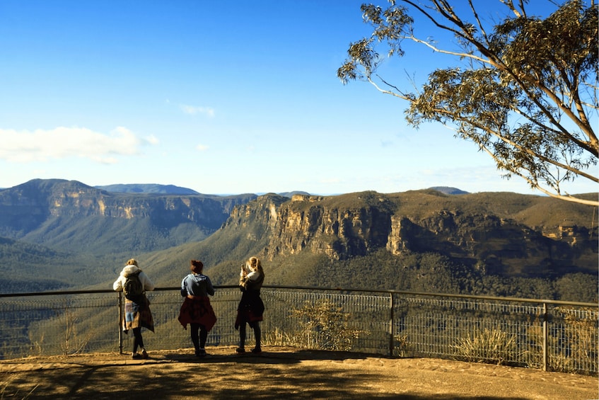 Picture 2 for Activity From Sydney: Blue Mountains, Sydney Zoo & Walking Tour