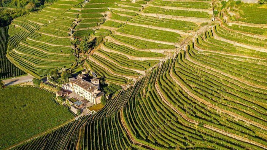 Lake Como & UNESCO Dry-stone Walls Vineyards
