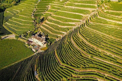 Lake Como & UNESCO Dry-stone Walls Vineyards