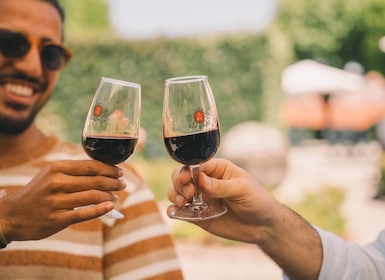 Porto: Cantine e degustazioni di Porto di Taylor
