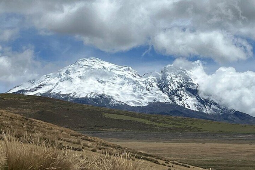 Private Tour at Antisana birding and condor watching 