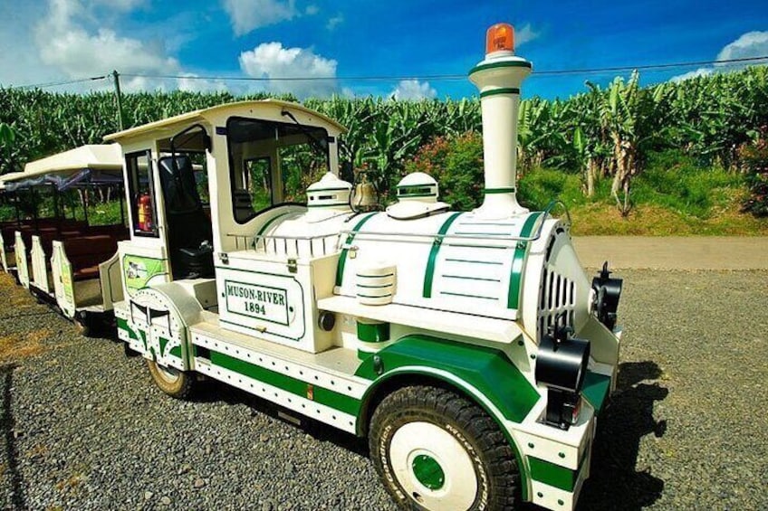Small train tour of a banana farm in Martinique
