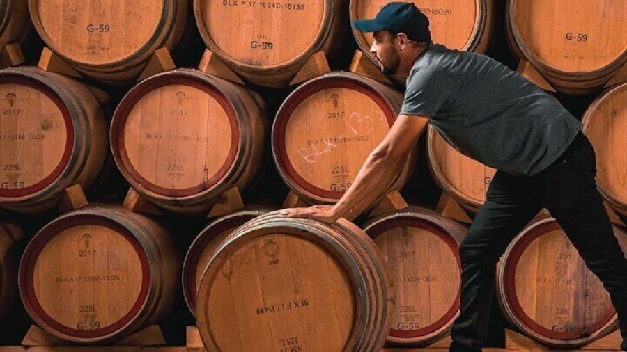 Full Day Private Guided Tour of Arandas Jalisco Distilleries