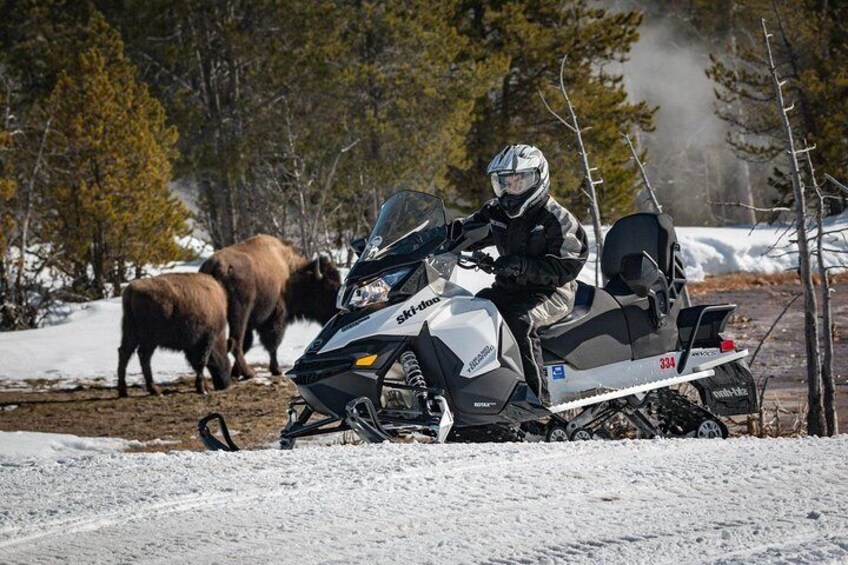 Yellowstone Old Faithful Full-Day Snowmobile Tour from Jackson Hole