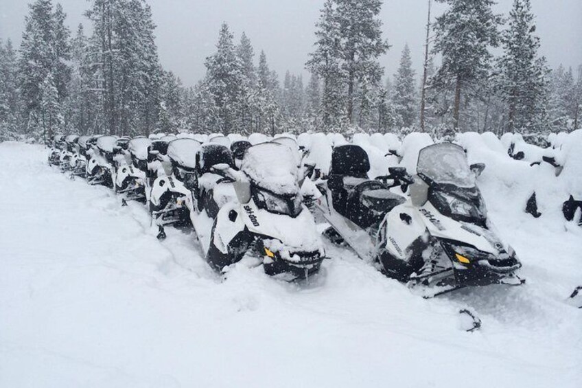 Yellowstone in the winter!