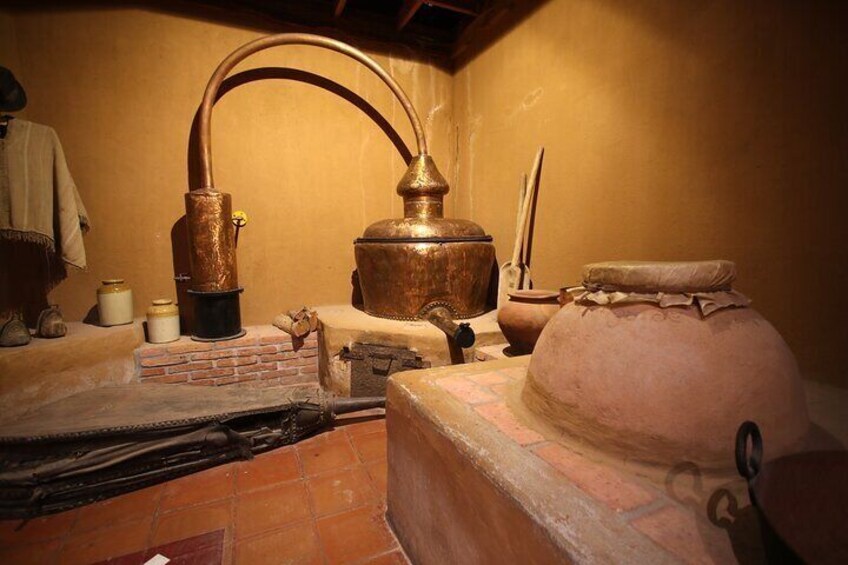 Full Day History and Flavors Tour in the Elqui Valley