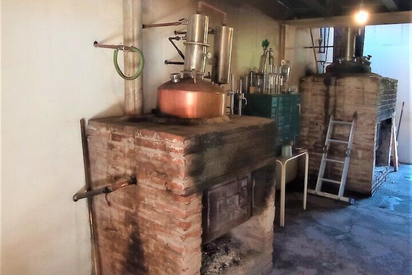 Full Day History and Flavors Tour in the Elqui Valley
