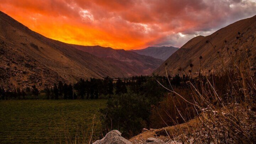 Elqui Valley Tour: Full Day History and Flavors
