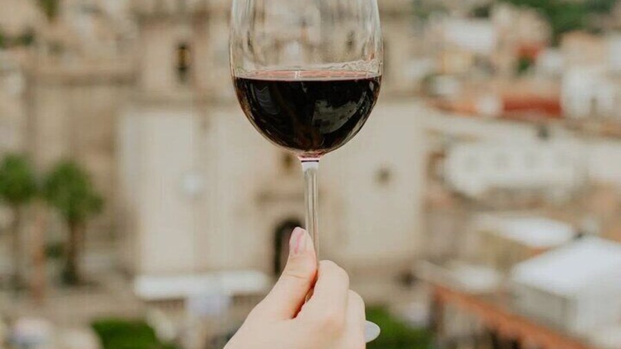 Private Tour in Jalostotitlán and Cerca Blanca Vineyard