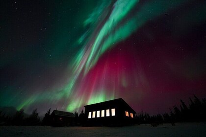 Beste Alaskan Cabin Aurora Viewing mit Fotografie @Aurora Camp