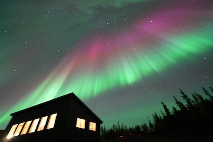 Observación de auroras de 5 horas con fotografía GRATUITA en Aurora Camp (极...