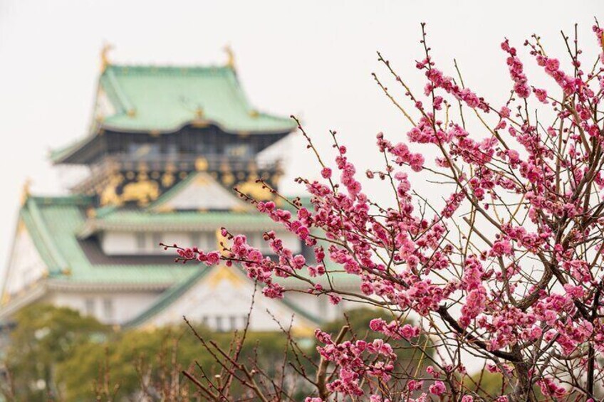 Osaka Castle & Back Alley Gourmet Private Tour