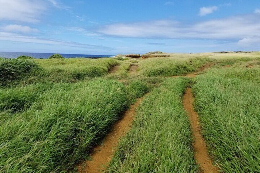 Green Sands Beach ATV Ride and Sunrise Swim with Turtles 