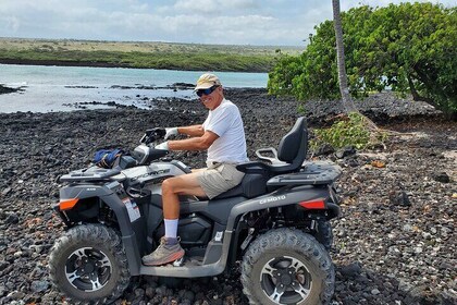 Giro in ATV sulla Green Sands Beach e nuotata all'alba con le tartarughe