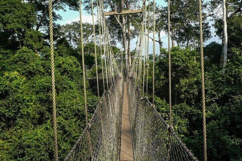 Kakum National Park 