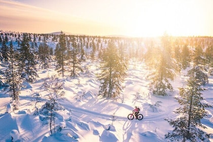 Private Electric Fat Bike Tour in Saariselkä